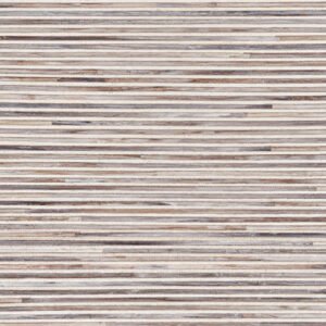 Light at Night — LAN211